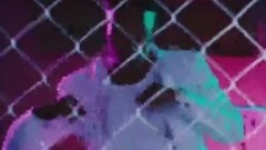 欧美群星 - Midnight Starring