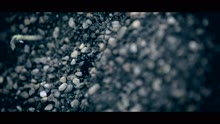 Yashin - Dorothy Gale (Videoclip)