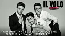 You Don't Have to Say You Love Me ((Io che non vivo - Senza te)[Cover Audio])