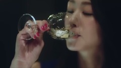 日本群星 - EVO