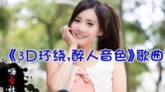 网络音乐 - <3D环绕,醉人音色>歌曲连版大碟!