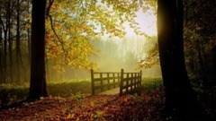 欧美群星 - Clarinet Concerto in A Major II. Adagio