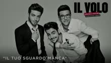 Il tuo sguardo manca (Cover Audio)