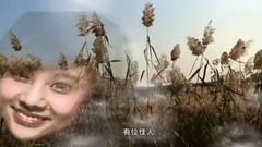 华语群星 - 在水一方 修订版
