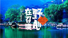 华语群星 - 2017赤水音乐节回顾