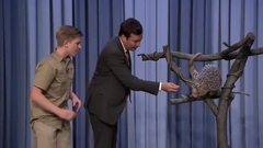 欧美群星 - Jimmy Gets Attacked by Robert Irwin's Anteater