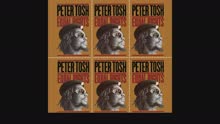 Peter Tosh - I Am That I Am (Audio)