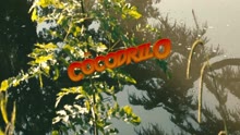 DKB - El Cocodrilo (Video Oficial)
