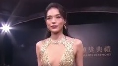 舒淇 - 舒淇再登金马最美 陈珮騏被批"防治登革热"