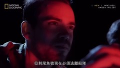欧美群星,影视原声,音乐短片,看点什么梗 - 电影<深海二战>第二集