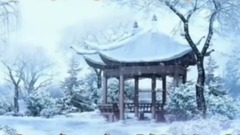 梅花三弄