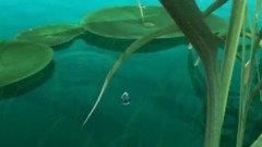 华语群星 - 在水一方 赵一演唱