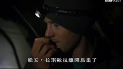 欧美群星,风景,影视原声,音乐短片,轻音乐 - 纪录片<野性新西兰.新移民> 第三集