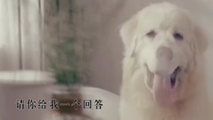 原创 - 别让爱情变成了笑话