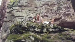 风景,音乐短片,轻音乐 - MARGARITA