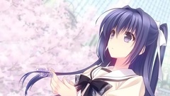 游戏原声,美乡あき,动漫专属 - 散りゆく桜に願いをこめて 游戏<月に寄りそう乙女の作法2.2 AxL+SA!!>OP
