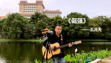  - 逆风的方向，更适合飞翔，不怕艰苦，就是那么《倔强》