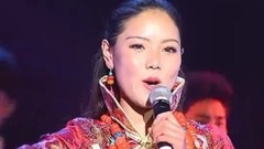 华语群星,民乐群星 - 美丽琼布