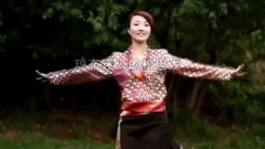华语群星,民乐群星 - 琼布迷人的松巴龙