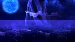 New - Magic Night