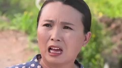 华语群星 - 老农