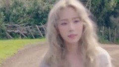 少女时代,太妍(少女时代) - 泰妍承认狗在车上警局调查内幕曝光