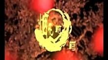 胡杨林-烟花翩翩