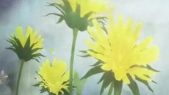 日本群星 - 花燃ゆ