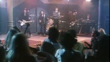 David Johansen,大衛喬翰森 - Swaheto Woman