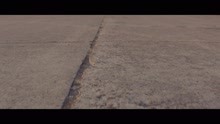 Happiest Man on Earth (Official Music Video)