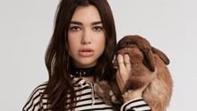 Dua Lipa - Dua Lipa - New Rules  歌词版