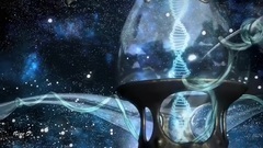 New - Gift From The Universe