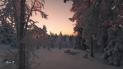 Winter Wonderland