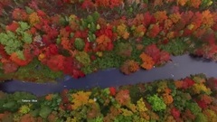 New - Goodbye Lady Autumn