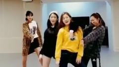 PRISTIN - 在公司舞蹈室翻跳red velvet & twice & blackpink等热曲