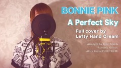 日本群星 - A Perfect Sky(Cover)