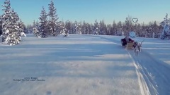 New - Rudolph the Red - nosed Raindeer