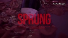 欧美群星 - Sprung
