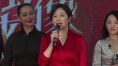 华语群星 - <偶像来了>新闻发布会