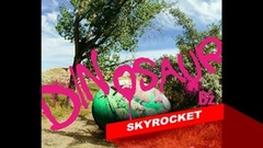 SKYROCKET