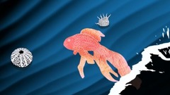 欧美群星 - Poisson étrange