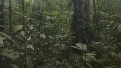 风景,影视原声,音乐短片,轻音乐,乐动城市 - 哥斯达黎加 生命物语 第五集