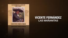 Las Mañanitas (Cover Audio)