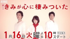 日本群星,影视原声 - 火曜ドラマ『きみが心に棲みついた』SPOT