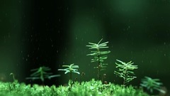 赵海洋 - 雨滴