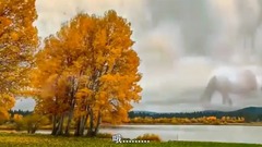 群星,音乐短片 - 风中的草原