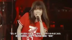 日本群星 - 青鸟
