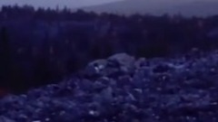 XUDOZNIK - P.S. 2015