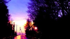 动漫专属 - 【Flower】「Magic City」【オリジナル】