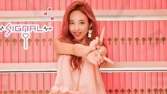TWICE - SIGNAL & CHEER UP & TT & KNOCK KNOCK